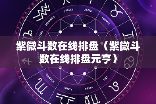 紫微斗数在线排盘（紫微斗数在线排盘元亨）