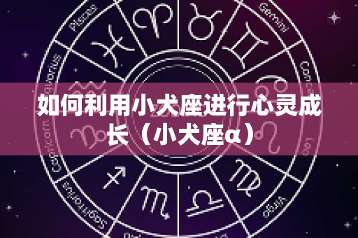 如何利用小犬座进行心灵成长（小犬座α）