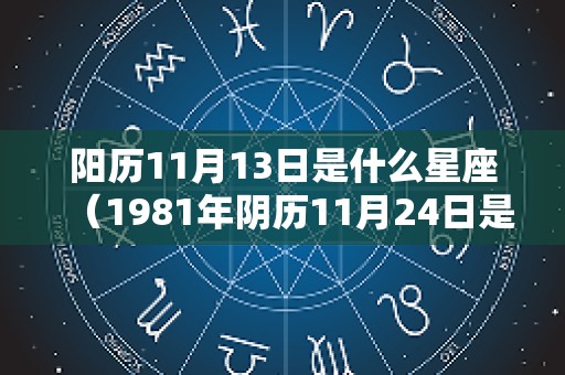 阳历11月13日是什么星座（1981年阴历11月24日是什么星座）