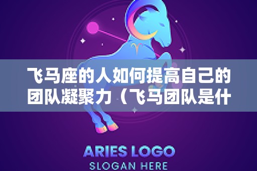 飞马座的人如何提高自己的团队凝聚力（飞马团队是什么）