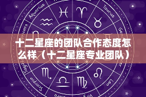 十二星座的团队合作态度怎么样（十二星座专业团队）