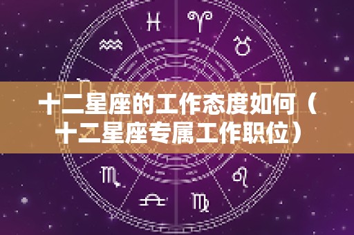 十二星座的工作态度如何（十二星座专属工作职位）