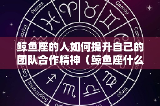 鲸鱼座的人如何提升自己的团队合作精神（鲸鱼座什么意思）