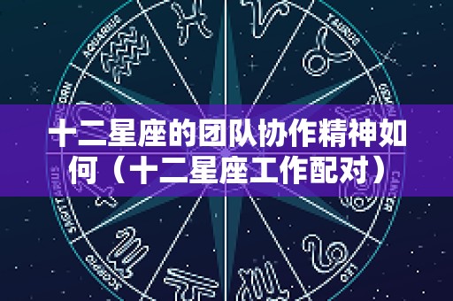 十二星座的团队协作精神如何（十二星座工作配对）