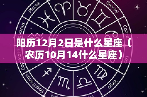 阳历12月2日是什么星座（农历10月14什么星座）