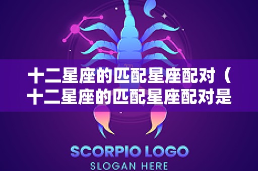十二星座的匹配星座配对（十二星座的匹配星座配对是什么）