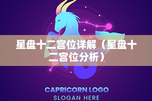 星盘十二宫位详解（星盘十二宫位分析）