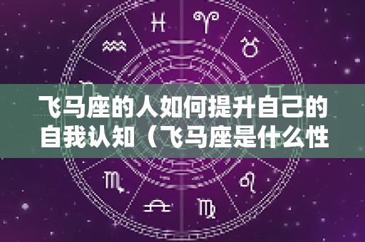 飞马座的人如何提升自己的自我认知（飞马座是什么性格）