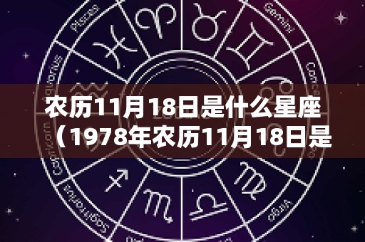 农历11月18日是什么星座（1978年农历11月18日是什么星座）