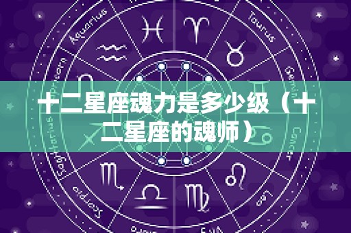 十二星座魂力是多少级（十二星座的魂师）