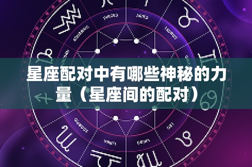 星座配对中有哪些神秘的力量（星座间的配对）
