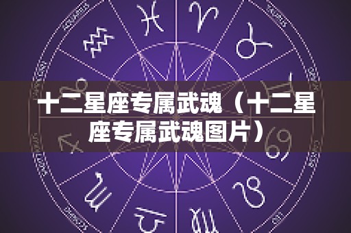 十二星座专属武魂（十二星座专属武魂图片）