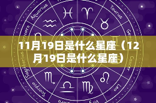 11月19日是什么星座（12月19日是什么星座）