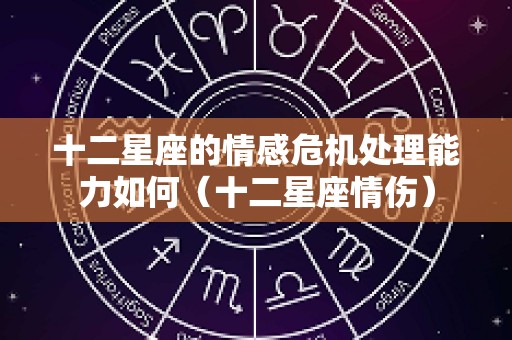 十二星座的情感危机处理能力如何（十二星座情伤）