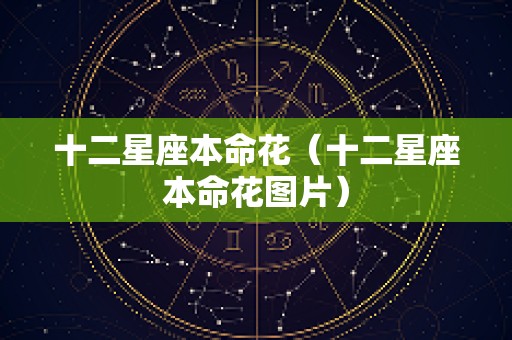 十二星座本命花（十二星座本命花图片）