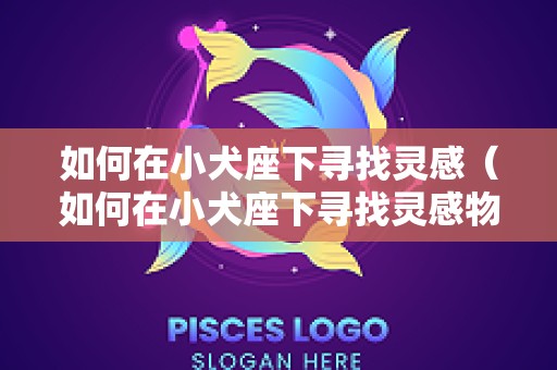 如何在小犬座下寻找灵感（如何在小犬座下寻找灵感物体）