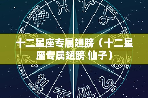 十二星座专属翅膀（十二星座专属翅膀 仙子）