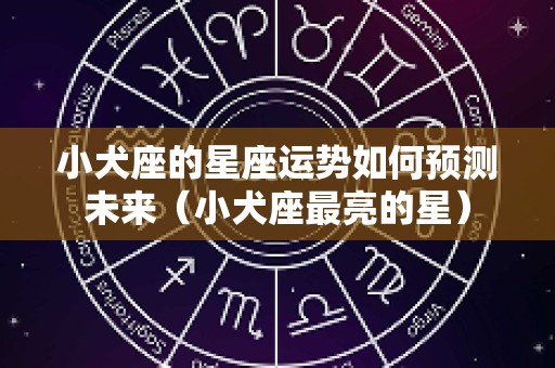 小犬座的星座运势如何预测未来（小犬座最亮的星）