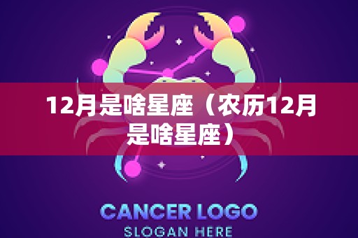 12月是啥星座（农历12月是啥星座）