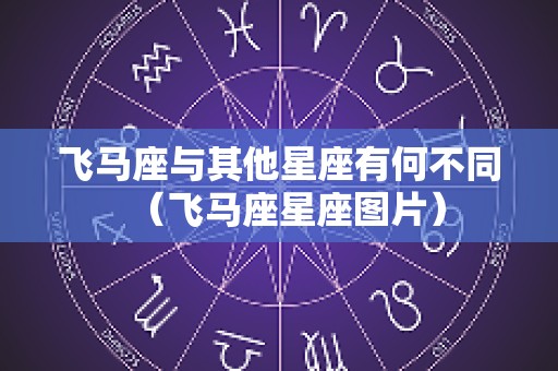 飞马座与其他星座有何不同（飞马座星座图片）