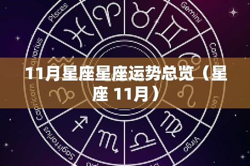 11月星座星座运势总览（星座 11月）
