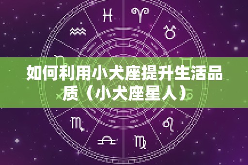 如何利用小犬座提升生活品质（小犬座星人）