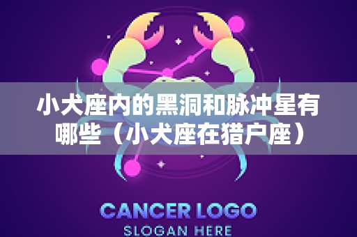 小犬座内的黑洞和脉冲星有哪些（小犬座在猎户座）