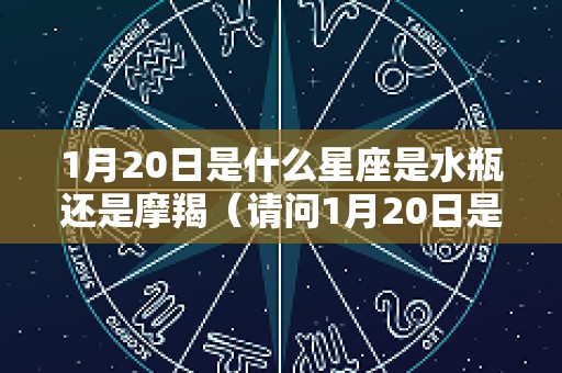 1月20日是什么星座是水瓶还是摩羯（请问1月20日是什么星座）