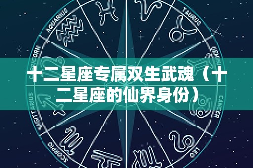 十二星座专属双生武魂（十二星座的仙界身份）