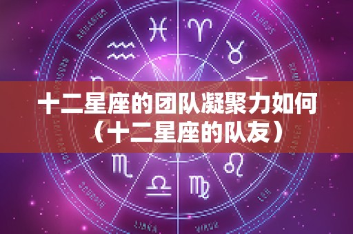 十二星座的团队凝聚力如何（十二星座的队友）