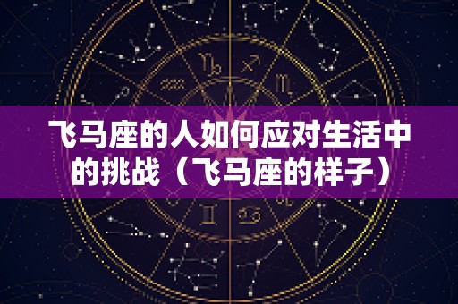 飞马座的人如何应对生活中的挑战（飞马座的样子）