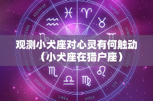 观测小犬座对心灵有何触动（小犬座在猎户座）