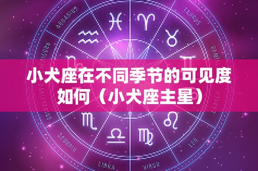 小犬座在不同季节的可见度如何（小犬座主星）