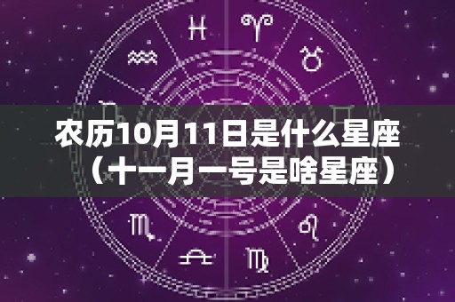 农历10月11日是什么星座（十一月一号是啥星座）