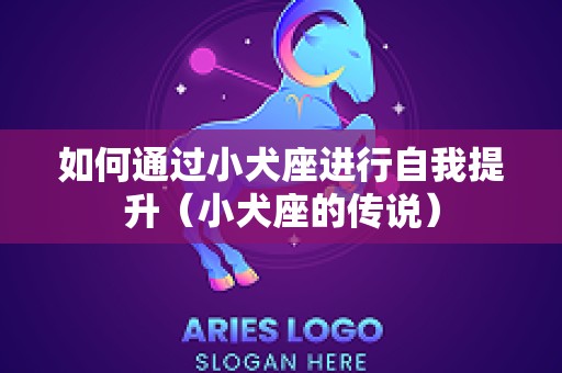 如何通过小犬座进行自我提升（小犬座的传说）
