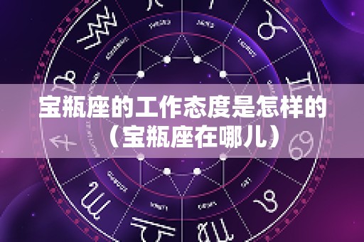 宝瓶座的工作态度是怎样的（宝瓶座在哪儿）