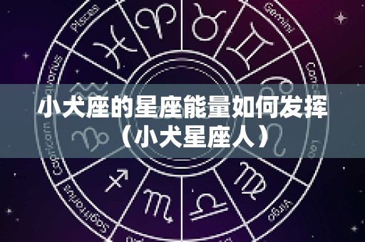 小犬座的星座能量如何发挥（小犬星座人）