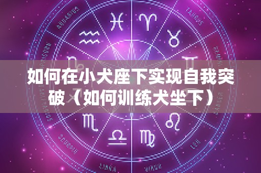 如何在小犬座下实现自我突破（如何训练犬坐下）