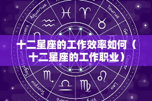 十二星座的工作效率如何（十二星座的工作职业）