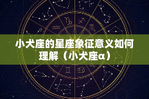 小犬座的星座象征意义如何理解（小犬座α）