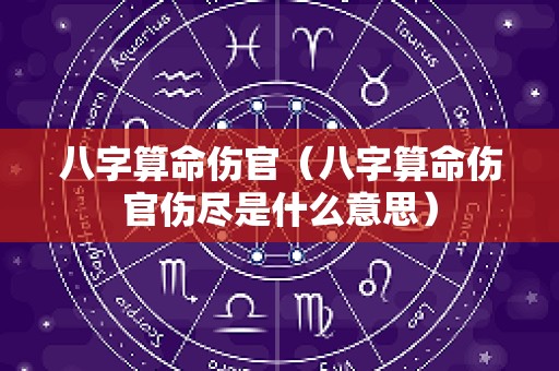 八字算命伤官（八字算命伤官伤尽是什么意思）