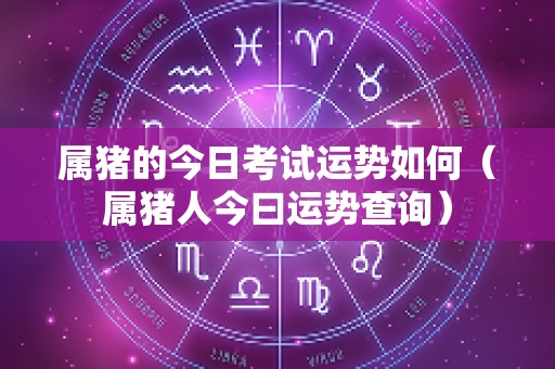 属猪的今日考试运势如何（属猪人今曰运势查询）