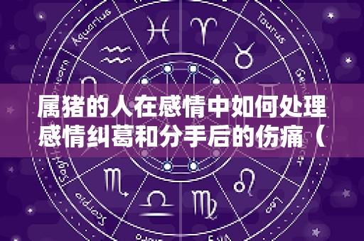 属猪的人在感情中如何处理感情纠葛和分手后的伤痛（2025属猪的感情方面如何）