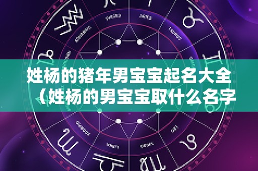 姓杨的猪年男宝宝起名大全（姓杨的男宝宝取什么名字好听）