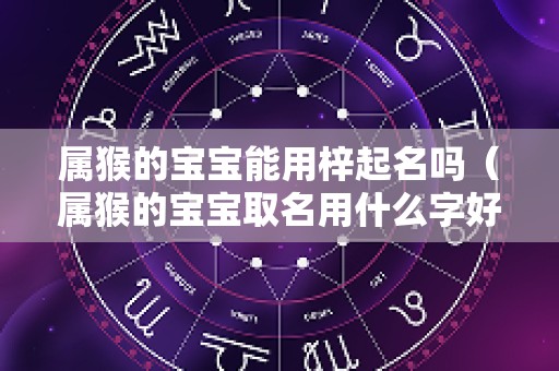 属猴的宝宝能用梓起名吗（属猴的宝宝取名用什么字好）