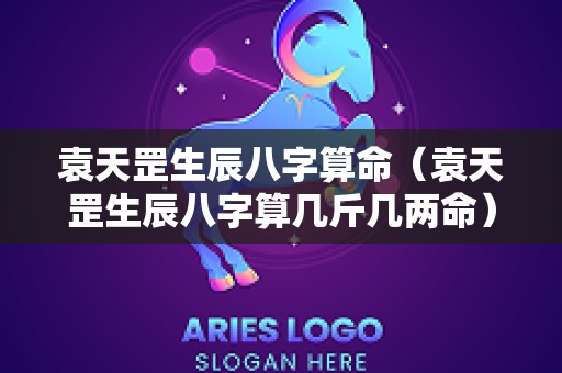 袁天罡生辰八字算命（袁天罡生辰八字算几斤几两命）