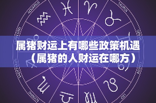 属猪财运上有哪些政策机遇（属猪的人财运在哪方）