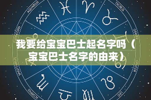 我要给宝宝巴士起名字吗（宝宝巴士名字的由来）