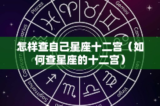 怎样查自己星座十二宫（如何查星座的十二宫）