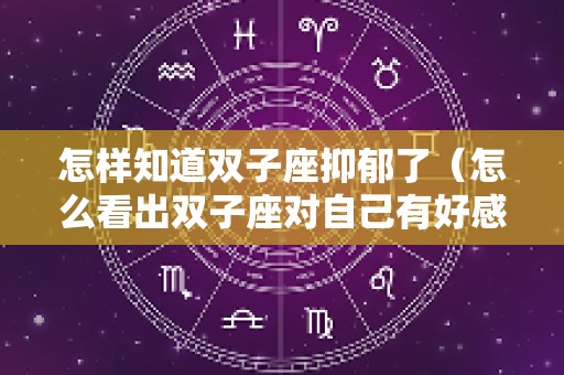 怎样知道双子座抑郁了（怎么看出双子座对自己有好感）
